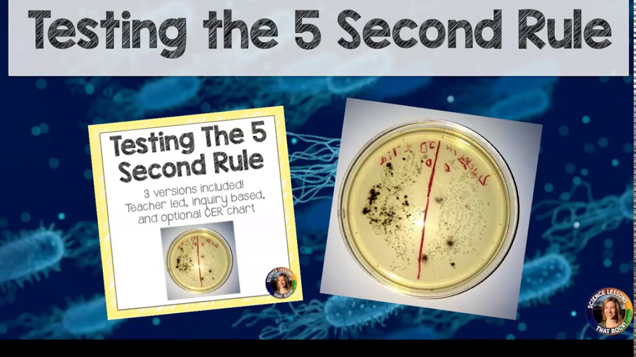 The 5-Second Rule: Fact or Fiction?