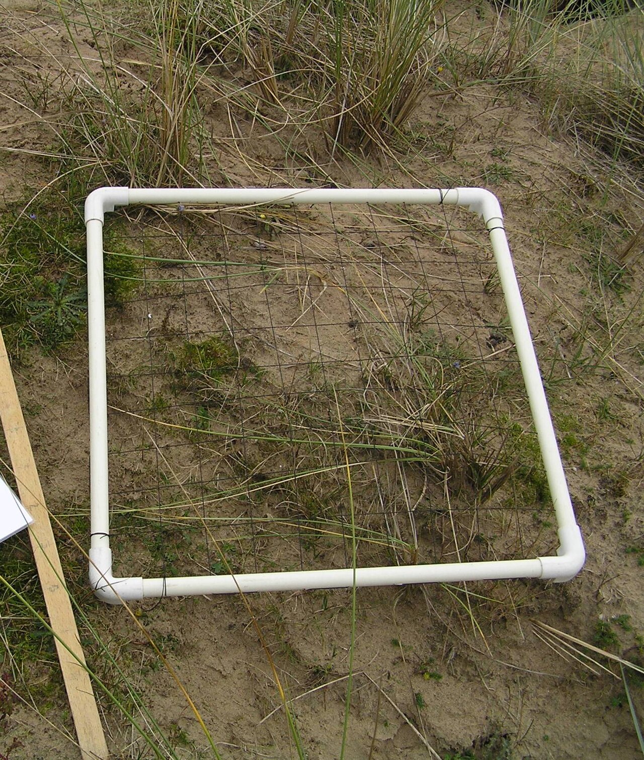 Mapping Local Biodiversity with Quadrat Sampling